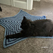 Pet Star Blanket pattern 