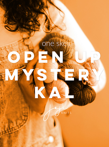 Open Up Mystery Shawl 다른 모습 2