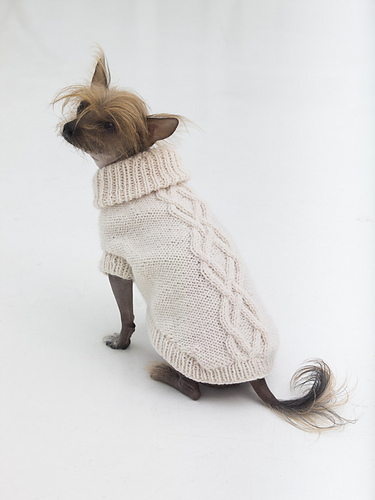 The Prep Dog Sweater photo 1