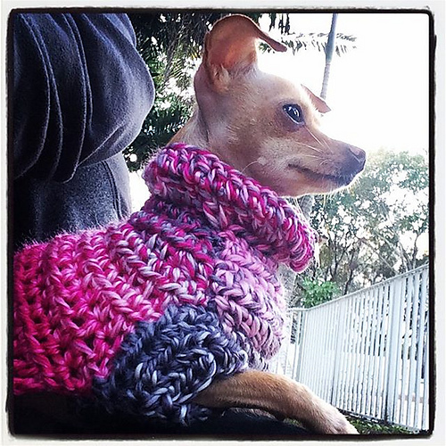 The Poet Dog Sweater photo 7