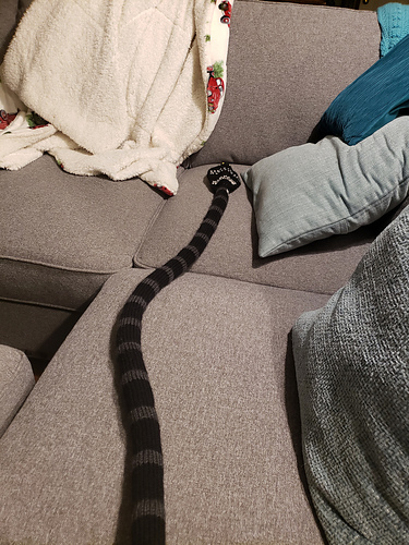 Kongekobra - JoAnn Ballor