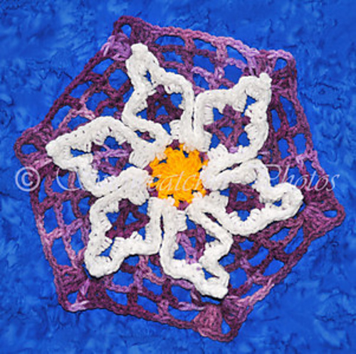 Wiggle Flower Motif and Afghan photo 5