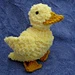 Pipsqueak Ducklings pattern 