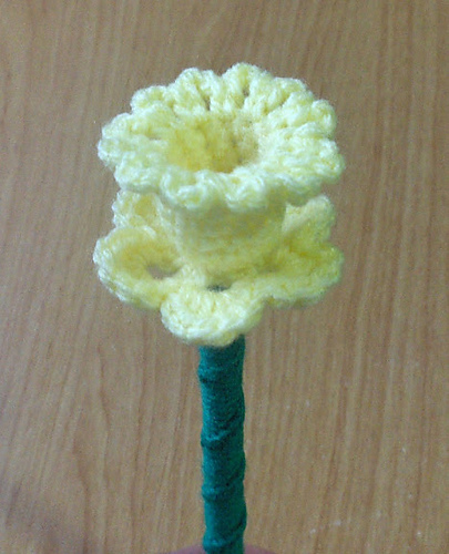 Daffodil Pencil photo 4