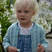 Merel pattern 