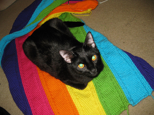 The Big Rainbow Tree Sweater photo 4