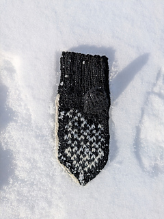 Youth palm