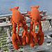 Toy Lobster pattern 
