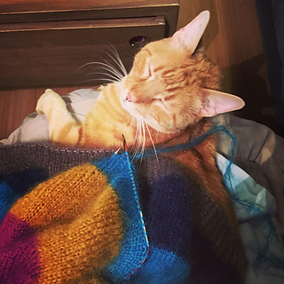 kat34's My sorbet cardigan - Ravelry