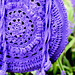 Passion for Purple photo 3