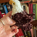 Bald Eagle for Celebrating pattern 