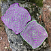Mitered pattern