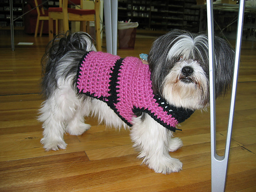 Ravelry: Easy Dog Sweater pattern by Elke Herbst