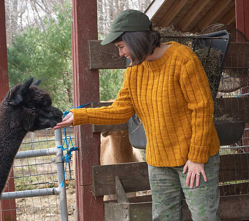 Northern Exposure Pullover