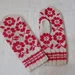 P.24 Flower mittens 大きな花柄のミトン pattern 
