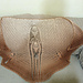 Butterfly Shawl pattern 