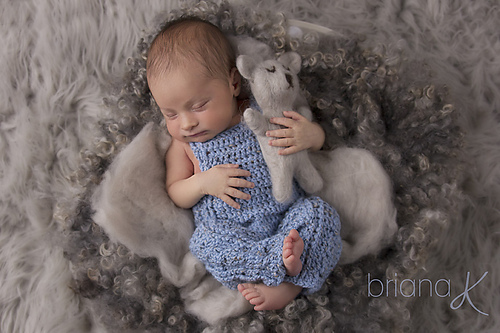 Logan Crochet Overalls photo 4
