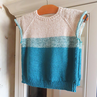 Ready to knit the sleeves.