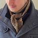 Are you well Mister Darcy? pattern 