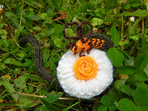 Little Bee photo 8