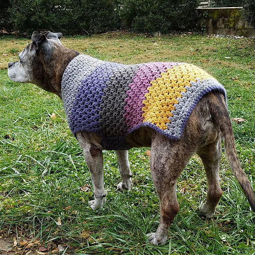 Well Dressed Dog Coat photo 6