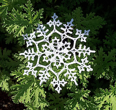 8.5" point to point
US 1 (2.25mm)
Crochet Cotton 3