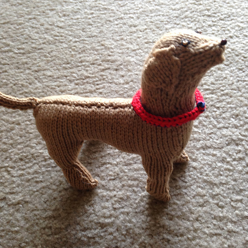 Staffordshire Bull Terrier - knancyknitter