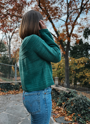 Ravelry: Adult Acorn Sweater pattern by Kalley Reedy