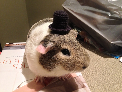Mini Amigurumi Top Hat photo 1