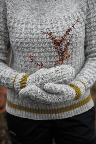Glaciär - double mittens photo 1