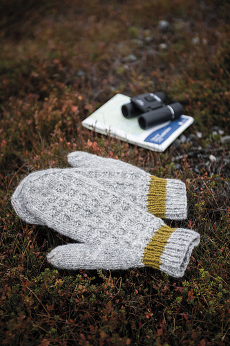 Glaciär - double mittens photo 3