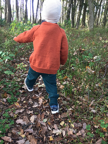 Leosex Genser - Knit Colorful , Gudrun Loennecken