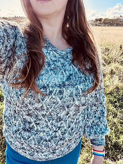 Mothy And The Squid SW Merino Aran