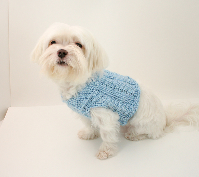 Ravelry Cabled Dog Sweater pattern by Brandie Knaggs