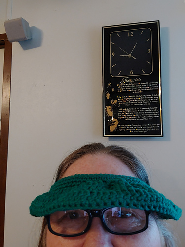 Sunglass/Eyeglass Visor photo 2