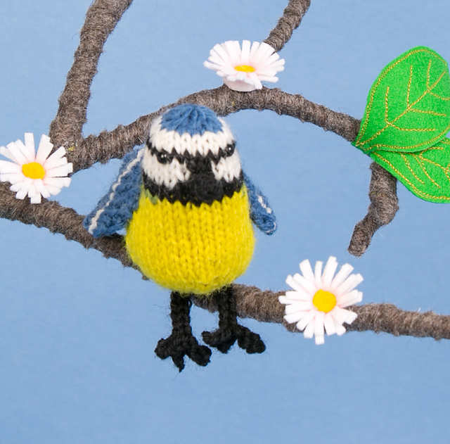 Blue Tit