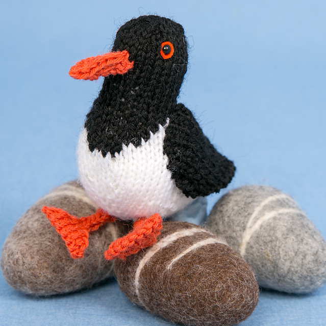 Oystercatcher