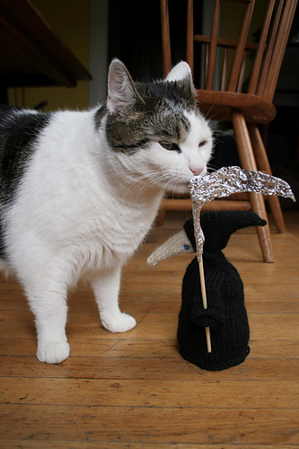 Ravelry: The Grim Squeaker Egg Cosy pattern by Sally Pointer/ Wicked ...