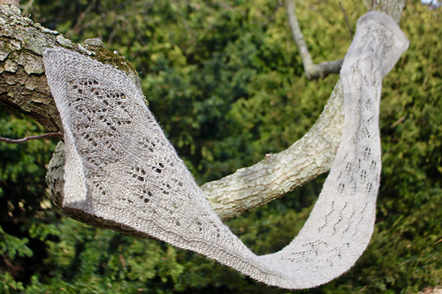 Myrkwood photo 6