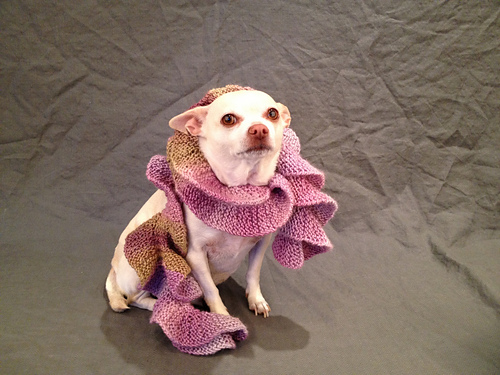 Potato Chip Skjerf - knittinwolf