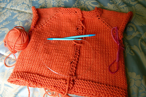 The Cali Cardi photo 6