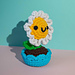 Andy, the Daisy photo 3