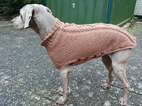 Hundepulli Maxi - dog sweater photo 10