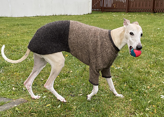 Reykur is wearing size L, knitted by Kristbjörg Olsen in Léttlopi.