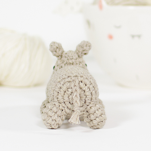 Small Hippo photo 5