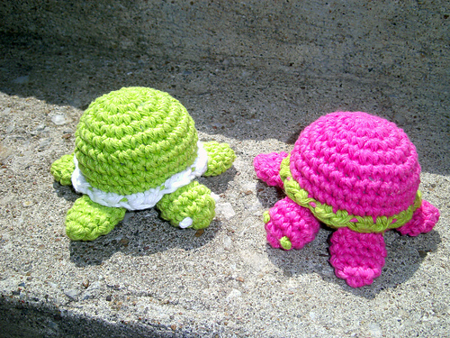 Itty Bitty Turtle photo 2