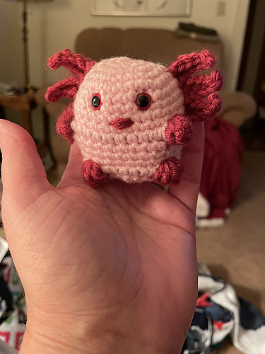 Funny Axolotl photo 6