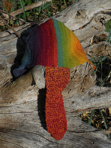 ColorFlow Crochet Project Bag photo 4