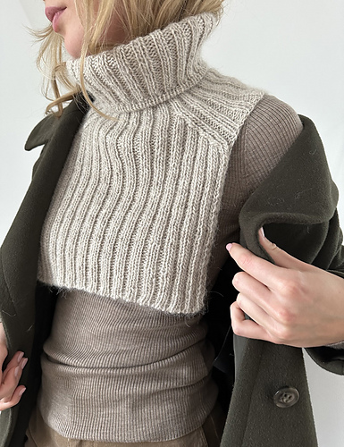 k*♡様 NKNIT / sheer wool henley neck KNIT HeRIN.CYE | Henley neck knit tops (ニット ) |SHEL'TTER WEBSTORE