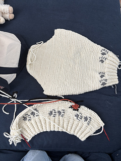 One sleeve done, started the back panel